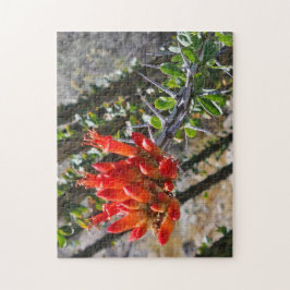 Thorns & Fire Blossoms Puzzle, 11" x 14", 252 pcs Legpuzzel