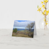 Thornton Gap Uitzicht in het voorjaar Kaart (Gele Bloem)