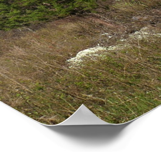 Thornton Gap Uitzicht in het voorjaar Poster (Hoek)