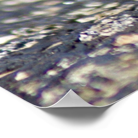 Thorny Devil Lizard Outback Australia, tot 24x18 Poster (Hoek)