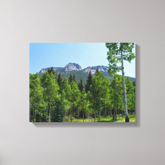 thorodin-top boven bosland bij golden gate canvas afdruk