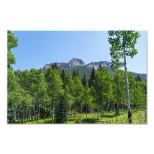 Thorodin-top boven de bossen bij Golden Gate Foto Afdruk