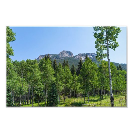 Thorodin-top boven de bossen bij Golden Gate Foto Afdruk (Voorkant)