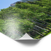 Thorodin-top boven de bossen bij Golden Gate Foto Afdruk (Hoek)