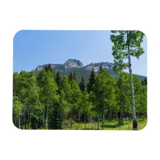 Thorodin-top boven de bossen bij Golden Gate Magneet