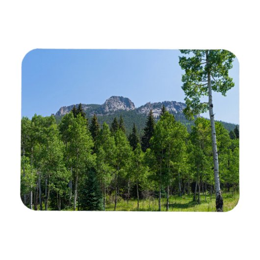 Thorodin-top boven de bossen bij Golden Gate Magneet (Horizontaal)