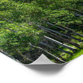 Thorodin-top boven de bossen bij Golden Gate Poster (Hoek)