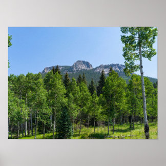 Thorodin-top boven de bossen bij Golden Gate Poster