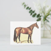 Thoroughbred Briefkaart (Staand voorkant)