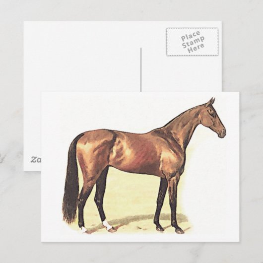 Thoroughbred Briefkaart (Voorkant / Achterkant)