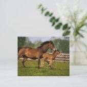 Thoroughbred Chestnut Mare & Foal Briefkaart (Staand voorkant)