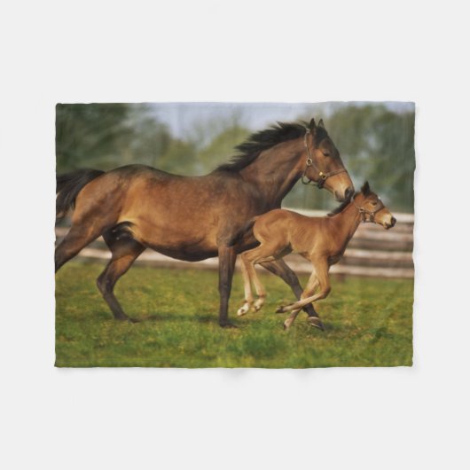Thoroughbred Chestnut Mare & Foal Fleece Deken (Voorkant (Horizontaal))