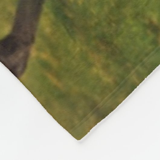 Thoroughbred Chestnut Mare & Foal Fleece Deken (Hoek)