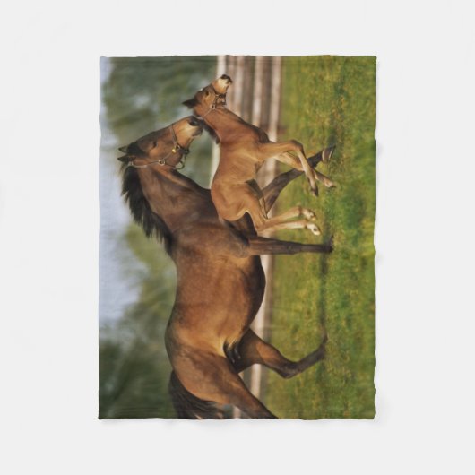 Thoroughbred Chestnut Mare & Foal Fleece Deken (Voorkant)