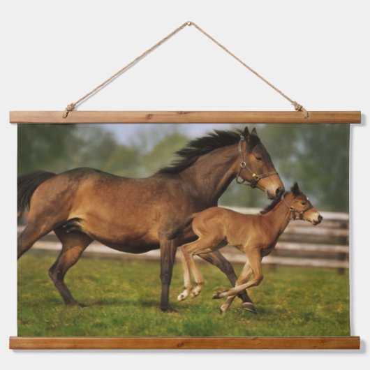 Thoroughbred Chestnut Mare & Foal Hangend Wandkleed (Voorkant)