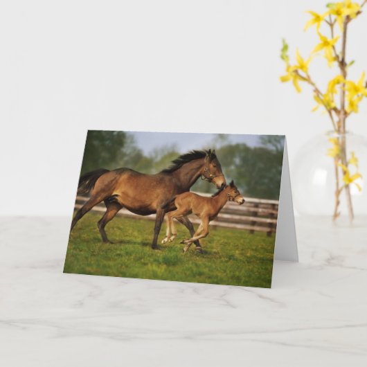 Thoroughbred Chestnut Mare & Foal Kaart (Gele Bloem)