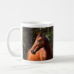 Thoroughbred Clydesdale Horse - Rocky Koffiemok