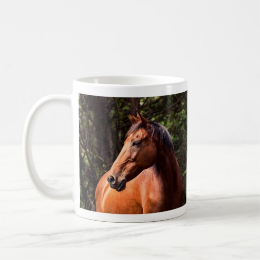 Thoroughbred Clydesdale Horse - Rocky Koffiemok (Links)