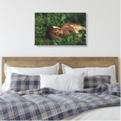 Thoroughbred Foal Lying Down Canvas Afdruk (Insitu (Slaapkamer))