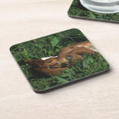 Thoroughbred Foal Lying Down Drankjes Onderzetter (Linkerzijde)