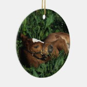 Thoroughbred Foal Lying Down Keramisch Ornament (Rechts)