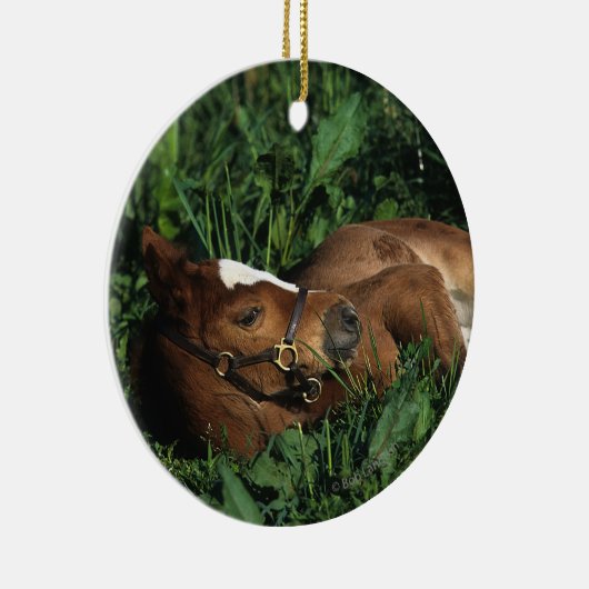 Thoroughbred Foal Lying Down Keramisch Ornament (Rechts)