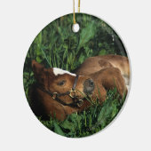 Thoroughbred Foal Lying Down Keramisch Ornament (Links)