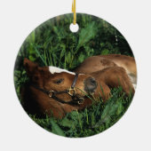 Thoroughbred Foal Lying Down Keramisch Ornament (Achterkant)