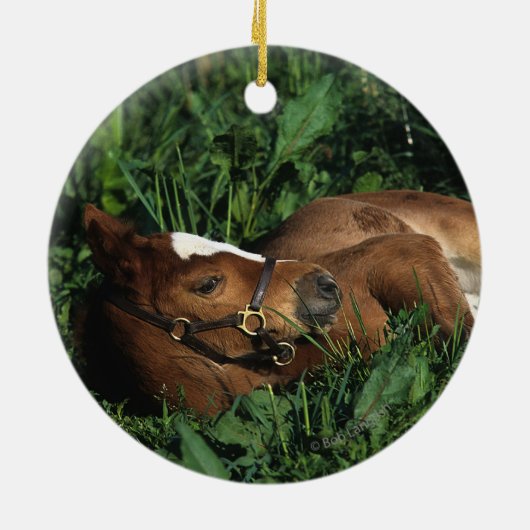 Thoroughbred Foal Lying Down Keramisch Ornament (Achterkant)