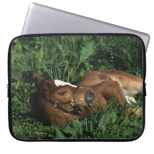 Thoroughbred Foal Lying Down Laptop Sleeve