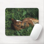 Thoroughbred Foal Lying Down Muismat (Met muis)