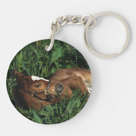 Thoroughbred Foal Lying Down Sleutelhanger (Achterkant)