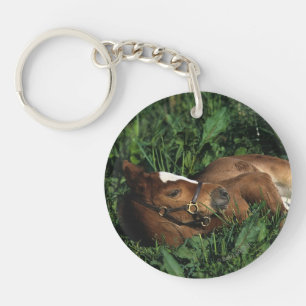 Thoroughbred Foal Lying Down Sleutelhanger