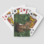 Thoroughbred Foal Lying Down Speelkaarten (Achterkant)