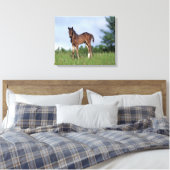 Thoroughbred Foal Standing in the Grass Canvas Afdruk (Insitu (Slaapkamer))
