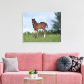 Thoroughbred Foal Standing in the Grass Canvas Afdruk (Insitu (Woonkamer))