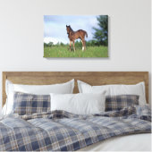 Thoroughbred Foal Standing in the Grass Canvas Afdruk (Insitu (Slaapkamer))