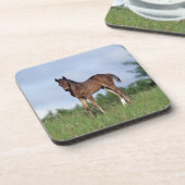 Thoroughbred Foal Standing in the Grass Drankjes Onderzetter (Linkerzijde)