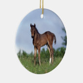 Thoroughbred Foal Standing in the Grass Keramisch Ornament (Rechts)