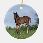 Thoroughbred Foal Standing in the Grass Keramisch Ornament (Voorkant)