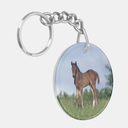 Thoroughbred Foal Standing in the Grass Sleutelhanger (Voorkant Links)
