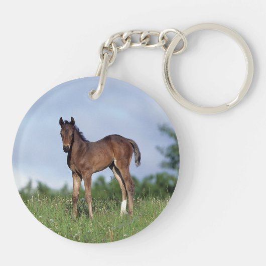 Thoroughbred Foal Standing in the Grass Sleutelhanger (Achterkant)