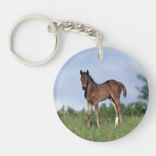 Thoroughbred Foal Standing in the Grass Sleutelhanger
