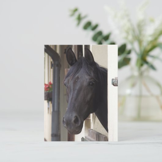 Thoroughbred Friesian Cross Briefkaart (Staand voorkant)