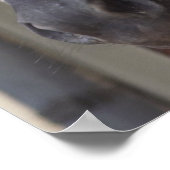 Thoroughbred Friesian Horse Poster (Hoek)