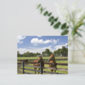 Thoroughbred horse boerderij in Marion County, Briefkaart (Staand voorkant)