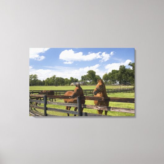 Thoroughbred horse boerderij in Marion County, Canvas Afdruk (Voorkant)