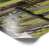 Thoroughbred horse boerderij in Marion County, Foto Afdruk (Hoek)