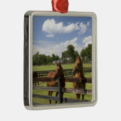 Thoroughbred horse boerderij in Marion County, Metalen Ornament (Rechts)