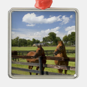 Thoroughbred horse boerderij in Marion County, Metalen Ornament